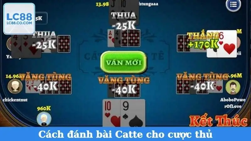 Cách đánh bài Catte cho cược thủ