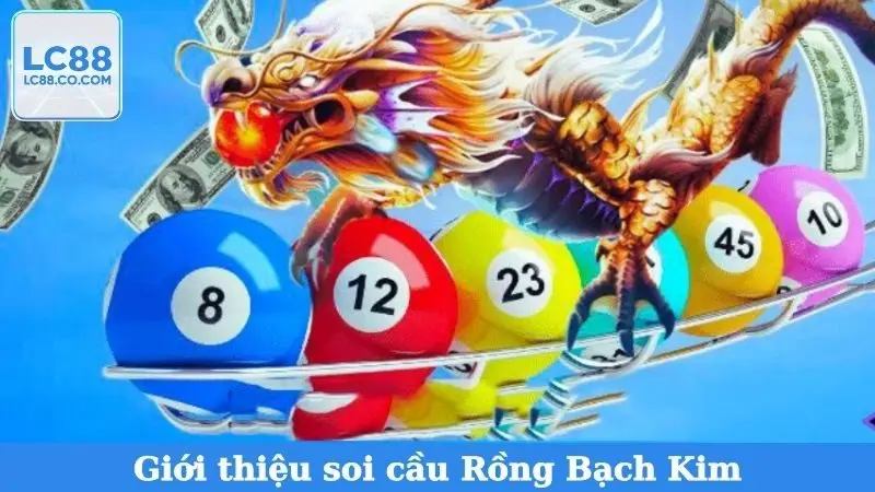 Giới thiệu soi cầu Rồng Bạch Kim